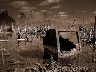 "Swamp TV" by James Good is licensed under CC BY-NC-ND 2.0 